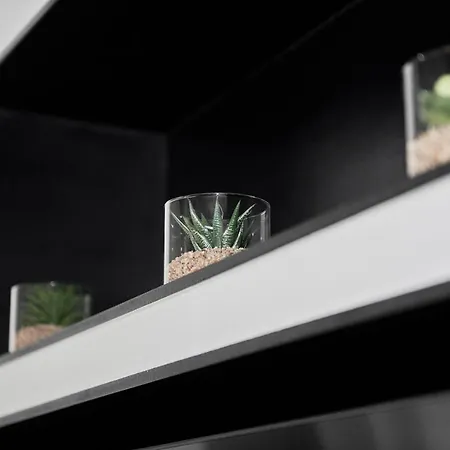 Bolofts Daire *