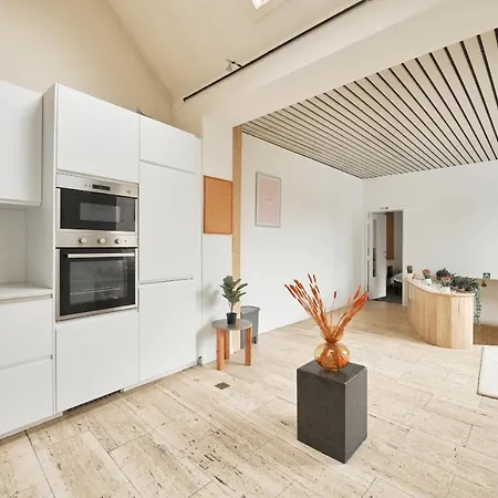 Daire Bolofts *