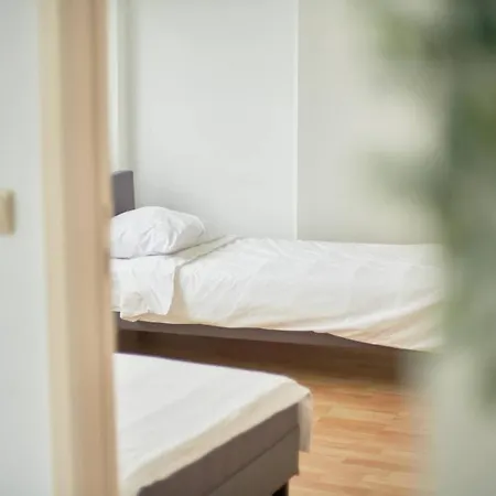 Bolofts Anvers