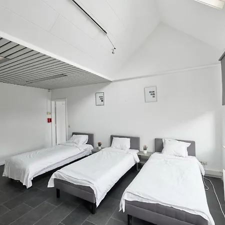 Bolofts Daire *