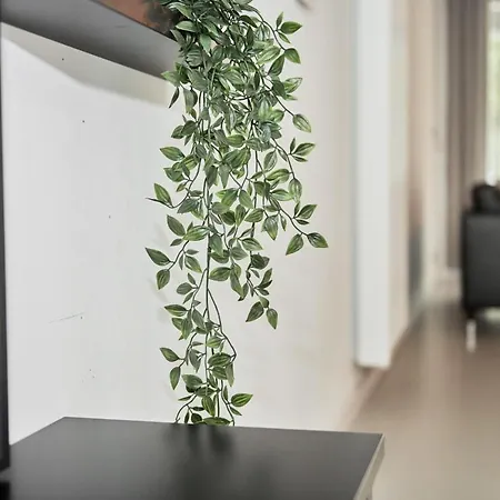 Apartment Bolofts *